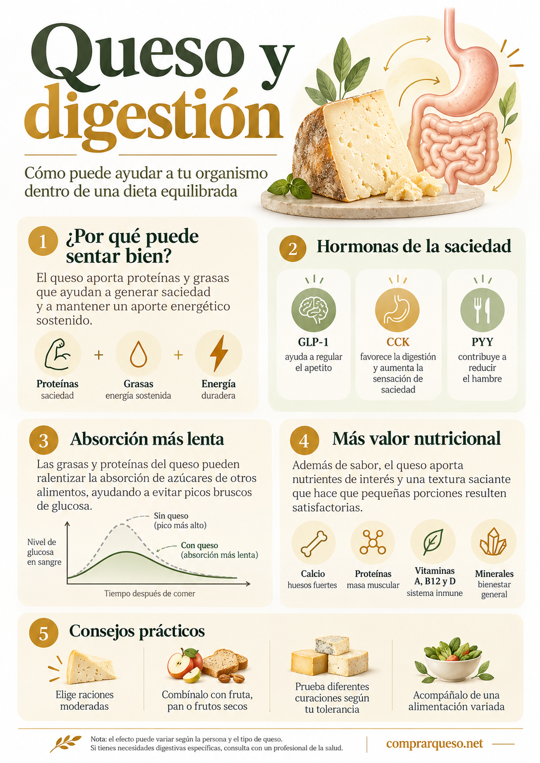 Queso y digestión: beneficios, saciedad y propiedades nutricionales
