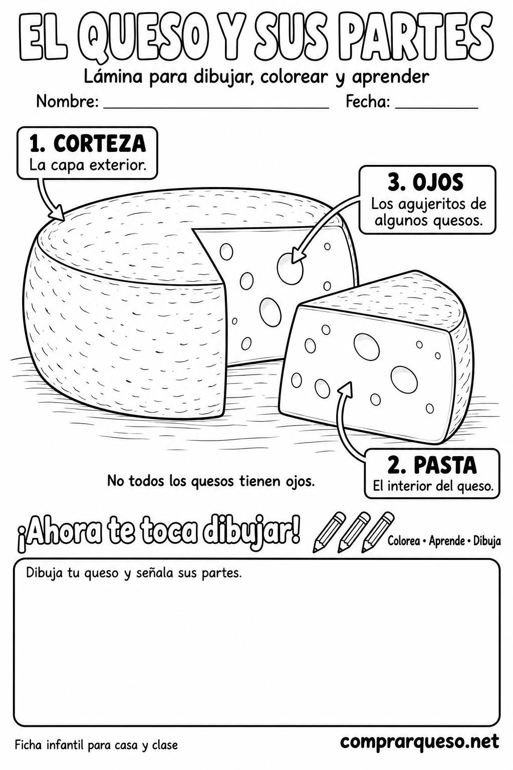 El queso y sus partes