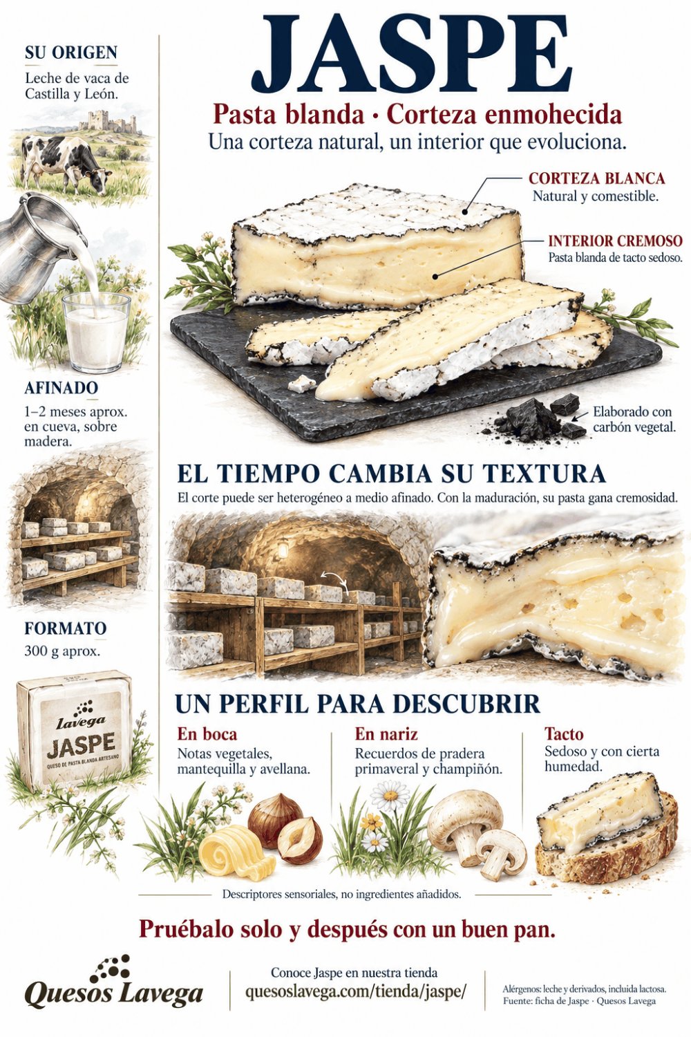 Jaspe: queso de pasta blanda y corteza natural de Quesos Lavega